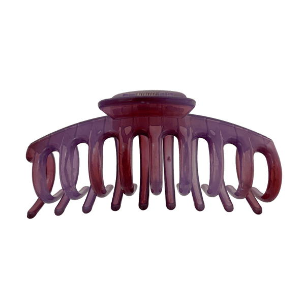 Amanda Hair Claw | Transparent Shades Of Purple