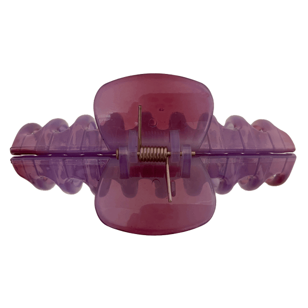 Amanda Hair Claw | Transparent Shades Of Purple